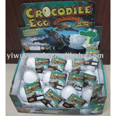 Growing Hatching Crocodile Egg Toy